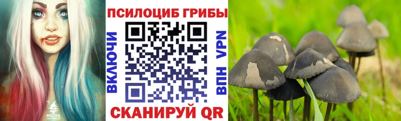 Галлюциногенные грибы мицелий  Пестово 